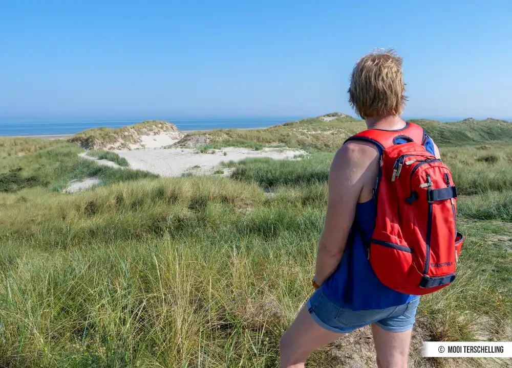 De Boschplaat op Terschelling